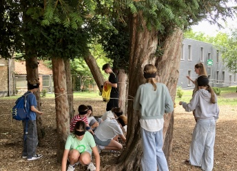 ENG 12-14 INT Gent 1B