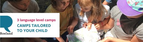 3_language_level_camps