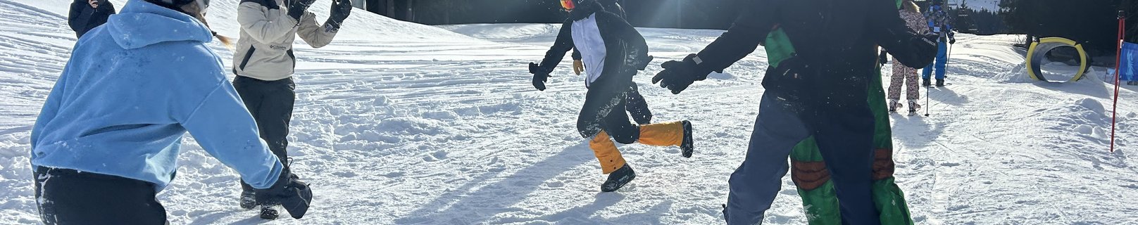 projects/banner_images/1754306644/1754306644/Ski.png