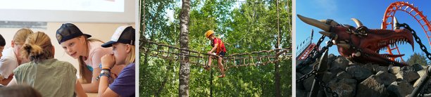 Banner Junior Nederlands Heino