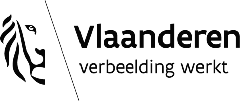 flemish government